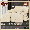 WhatsApp Image 2025-11-21 at 1.04.29 AM (3).webp