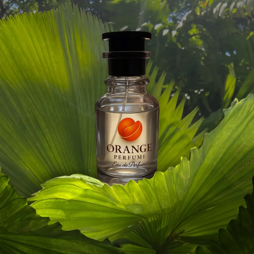 WhatsApp Image 2025-12-06 at 4.12.15 PM (1).webp