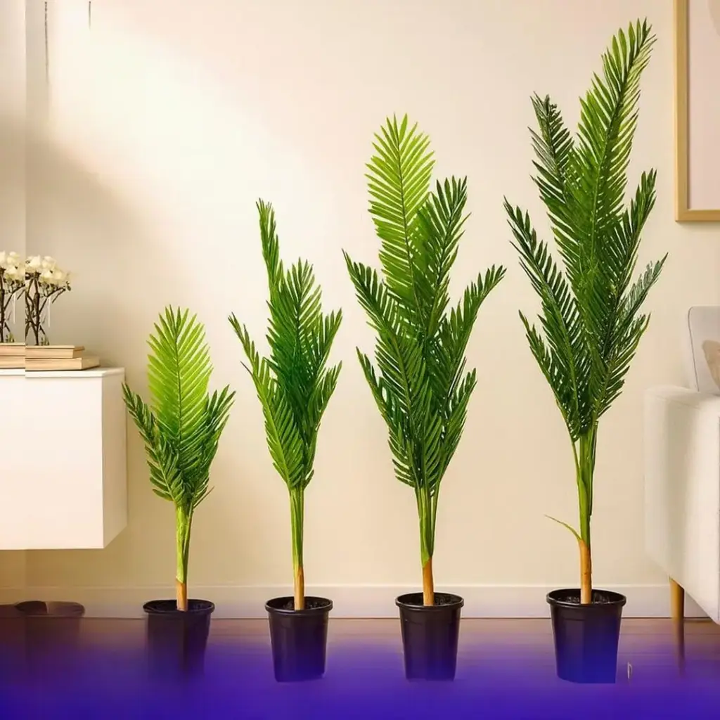 شجر زينة منزلية عدة احجام 