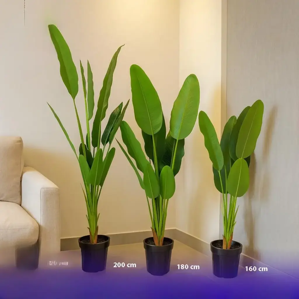 شجر زينة احجام مختلفة 