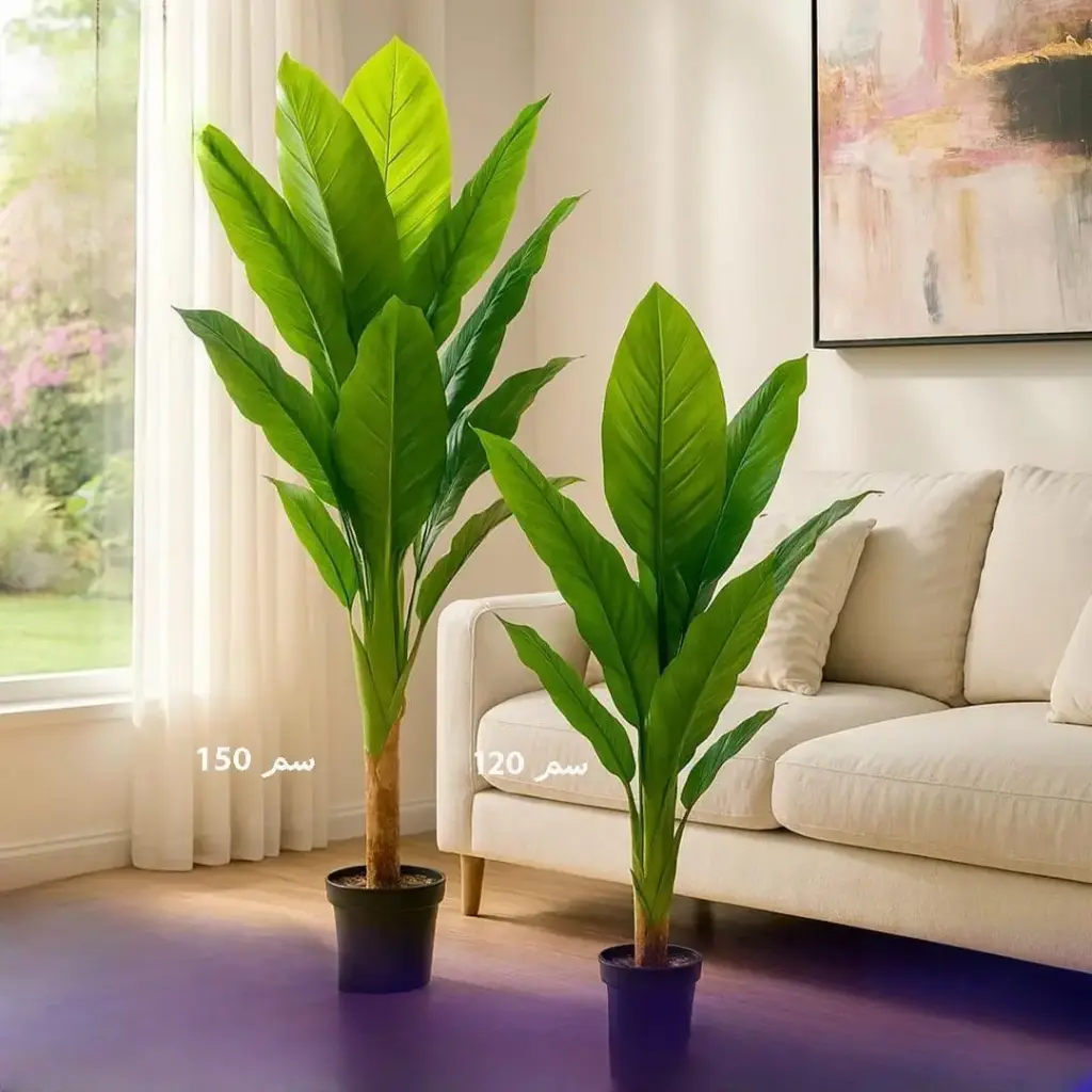 شجر زينة احجام مختلفة 