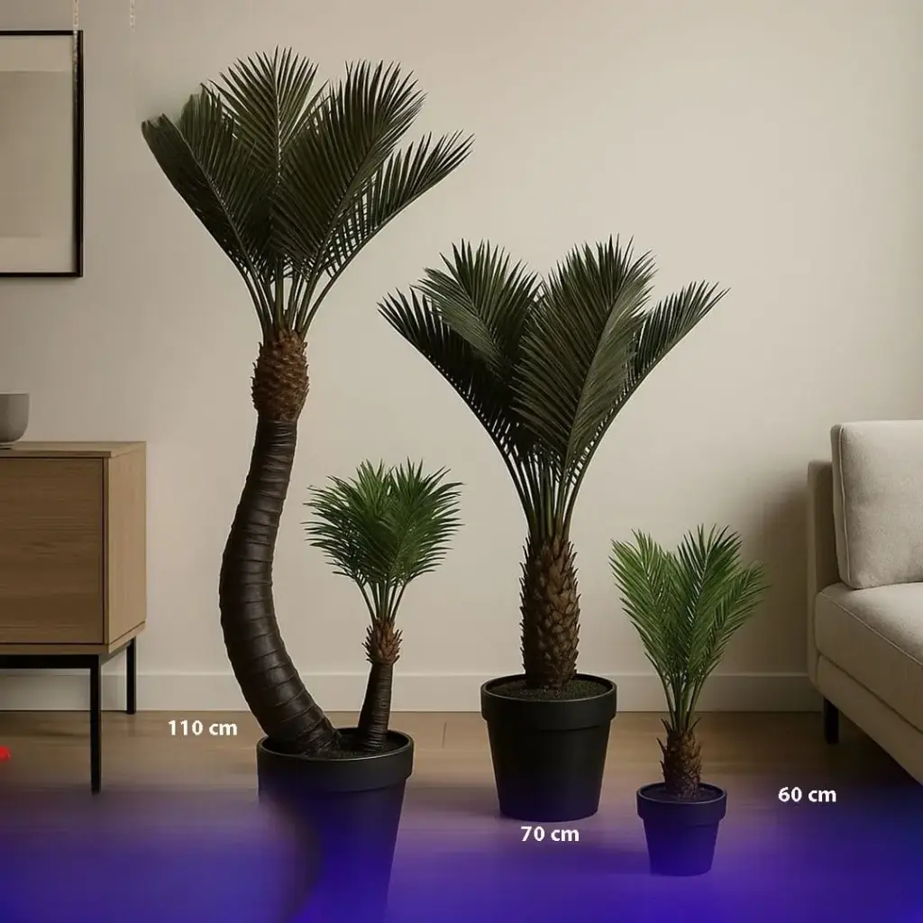 اشجار نخيل زينة ثلاث احجام 