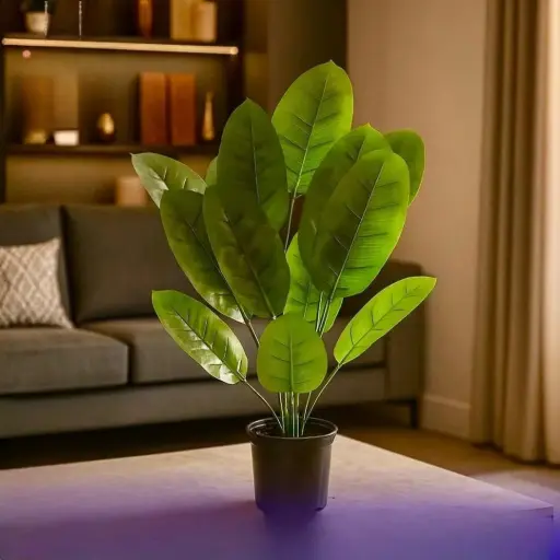 شجرة زينة منزلية طول 80 سم 