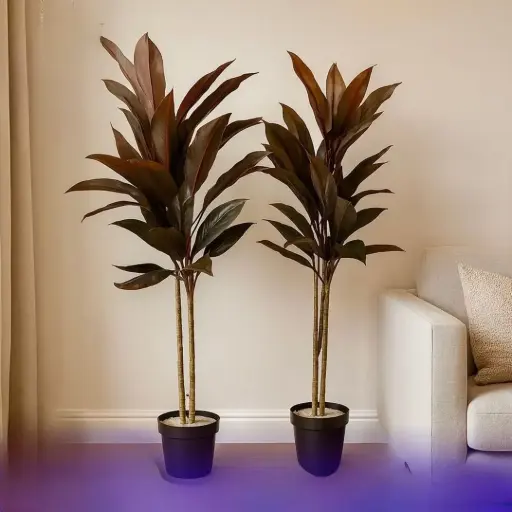 اشجار زينة منزلية احجام مختلفة 