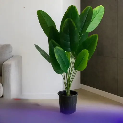 شجرة زينة طول 70 سم 