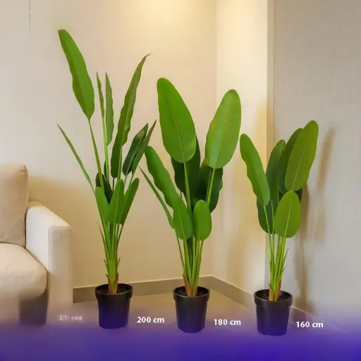 شجر زينة احجام مختلفة 