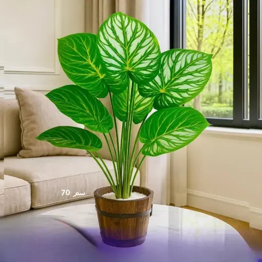 شجرة زينة طول 70 سم 