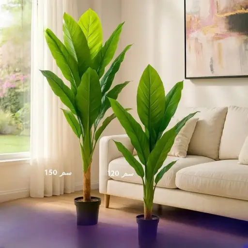 شجر زينة احجام مختلفة 