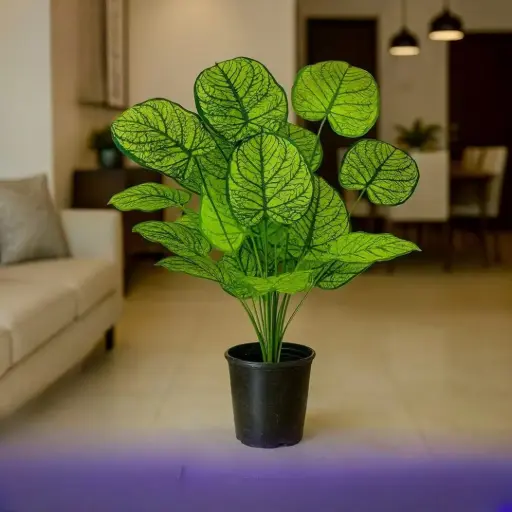 شجرة زينة طول 80 سم 