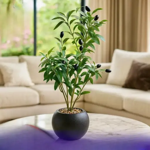 شجرة زيتون زينة طول 60 سم 