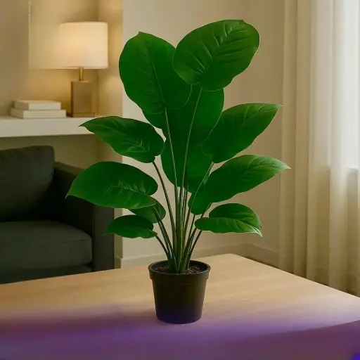 شجرة زينة طول 70 سم 