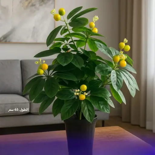 شجرة زينة منزلية طول 65 سم 