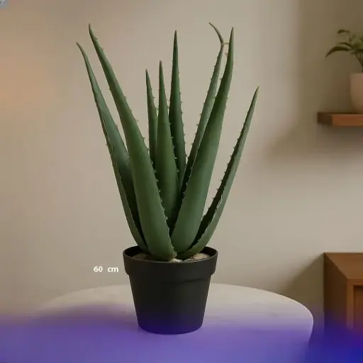 شجرة صبار زينة طول 60 سم 
