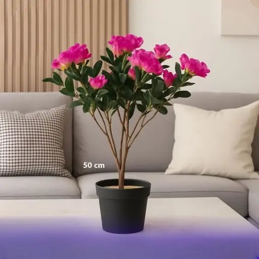 مزهرية زينة طول 50 سم 