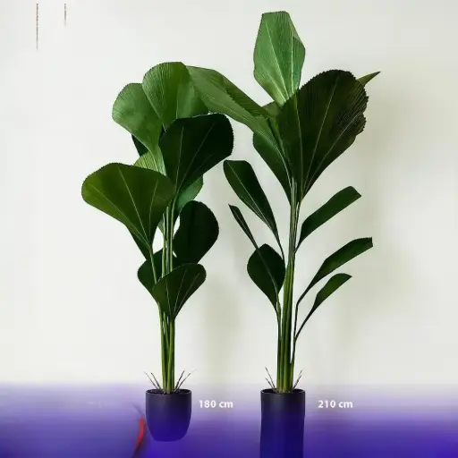 شجر زينة احجام مختلفة 